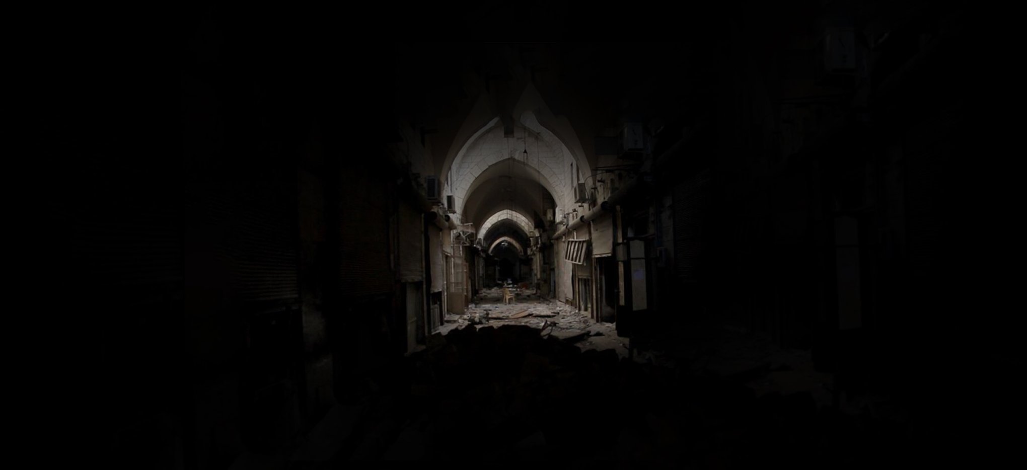 Madness in Aleppo (2019)